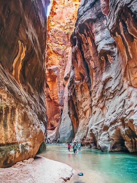 Utah Itinerary, Zion Hikes, Utah Vacation, The Narrows, Road Trip Places, Utah Adventures, Utah Road Trip, Zion National Park Utah, National Park Vacation