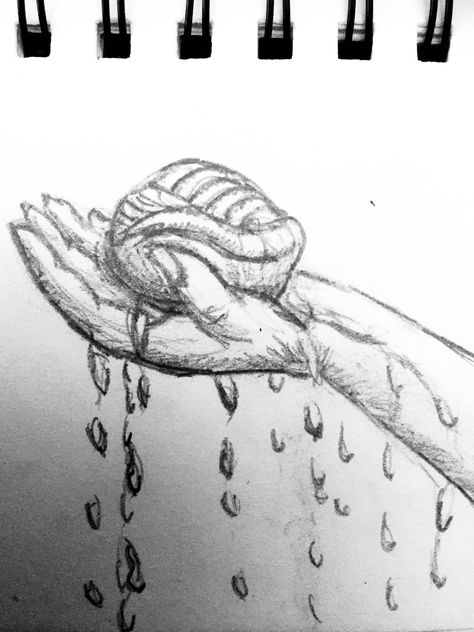 Hand holding a shell  #drawing #inspiration #sea #hand #shell #water #graphite #art Hands Holding Water, Floral Wallpaper Aesthetic, Shell Drawing, Bright Colors Art, Graphite Art, Water Tattoo, Picture Tree, Spring Images, Journal Books