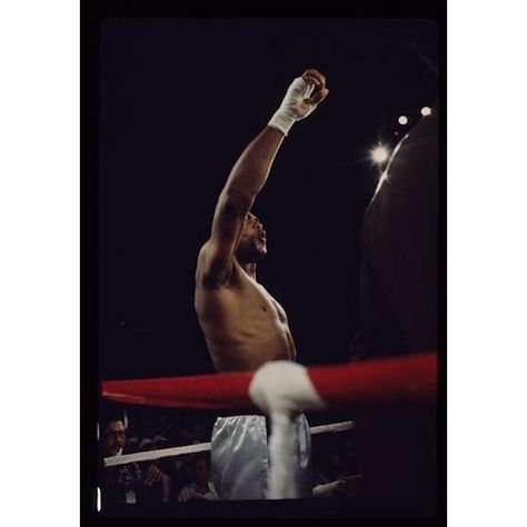 “He who is not courageous enough to take risks will accomplish nothing in life.” - #MuhammadAli 👊🏾 ⁣ ⁣#TheGreatest #Courage #Champion #Regram via @www.instagram.com/p/B_FgCG4H2Zq/ Muhammed Ali, Mohammed Ali, Float Like A Butterfly, Like A Butterfly, Boxing Champions, Muhammad Ali, Take Risks, Love And Respect, High Contrast