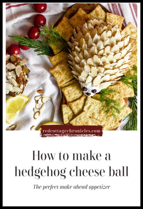 Hedgehog Dip Cheese Ball Recipe, Cheese Ball Hedgehog, Woodland Cheese Ball, Hedge Hog Cheese Ball Recipe, Hedgehog Cheese Ball Woodland Party, Hedgehog Appetizer, Hedgehog Cheeseball Recipe, Porcupine Cheeseball, How To Make A Cheese Ball