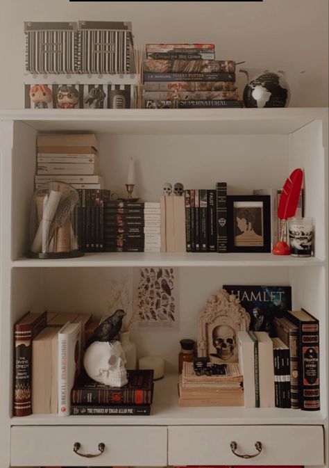 Bookcase Styling Bedroom, Bookshelf Ideas Dark Academia, Light Acedamia Library, Dark Academia Bookcase Aesthetic, Light Academia Aesthetic Bookshelf, Dark Academia Room Bookshelf, Home Library Aesthetic, Light Academia Decor, Airy Bedroom