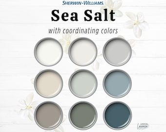 Sherwin Williams Sea Salt Palette, Coastal Palette, Fresh Color Palette, Whole House Paint Scheme, Complementary Coastal House Paint Palette - Etsy Boho Paint Colors, Sherwin Williams Sea Salt, Interior Paint Schemes, Modern Farmhouse Paint Colors, Farmhouse Color Palette, Agreeable Gray Sherwin Williams, Sea Salt Sherwin Williams, Sherwin Williams Gray, Black Paint Color