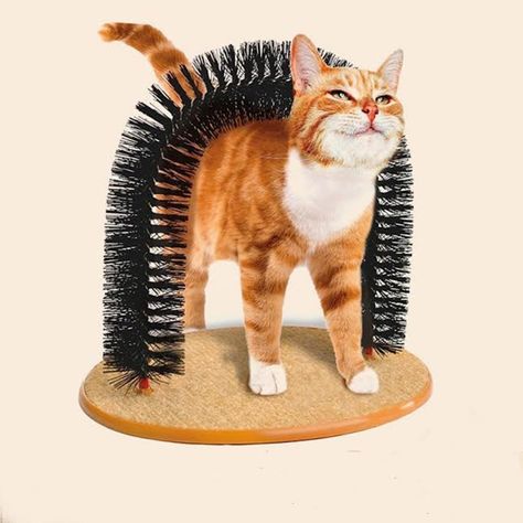 Cat Groom Self Grooming Cat ToyPet Cat Arch SelfGroomer and Massager  Groom Toy Pet Cat Scratcher Toys Fur Grooming Brush  Helps Prevent Hairballs and Controls Shedding ** You can discover more information by seeing the image link. (This is an affiliate link). Katt Grejer, Cat Supplies List, Cat Groomer, Cat Massage, Kitten Toys, Cat Bed Furniture, Interactive Cat Toys, Cat Scratcher, Design Geometric