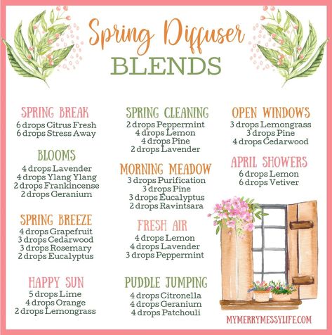 Welcome in the fresh and green aromas of spring with these 10 spring essential oil diffuser blends and recipes! These blends don’t just smell good, Spring Essential Oil Blends, Spring Diffuser Blends, Diffuser Blends Young Living, Messy Life, Essential Oil Combinations, Essential Oil Diffuser Blends Recipes, Young Living Essential Oils Recipes, Essential Oil Diffuser Recipes, Oil Diffuser Recipes