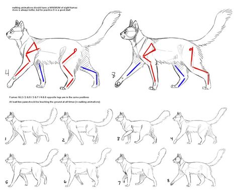 Cat Walk Cycle, Walk Cycle Reference, Animation Walk Cycle, Animated Anatomy, Draw A Cat, Walking Animation, Cat Walking, Walk Cycle, Drawing Instructions