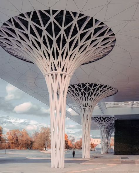 Transport Hub, World Architecture Festival, Tree Structure, Energy Efficient Buildings, Lighting Control System, Parametric Architecture, Column Design, Steel Columns, Architecture Studio