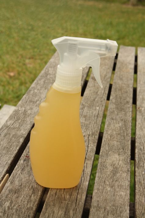 Homemade Mosquito Repellant -  What You Need:        15 drops of Lavender Essential Oil      3 – 4 Tbsp Homemade Vanilla Extract (which is why I recommend making your own so it’s inexpensive!)      4-5 Tbsp. Lemon Juice    What You Do:        Mix all of the above ingredients in a spray bottle and fill the rest up with water.      Spray away!! Homemade Mosquito Repellent, Vanilla And Lavender, Mosquito Repellent Homemade, Homemade Essential Oils, Insect Spray, Homemade Oil, Bug Repellent, E Mc2, Homemade Remedies