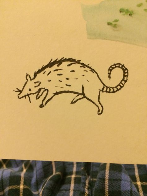 Possum Embroidery Possum, Possum Line Art, Possum Drawing Simple, Opossum Tattoo Simple, Possum Embroidery, Possum Tattoo Simple, Possum Doodle, Raccoon Tattoos, Possum Drawing