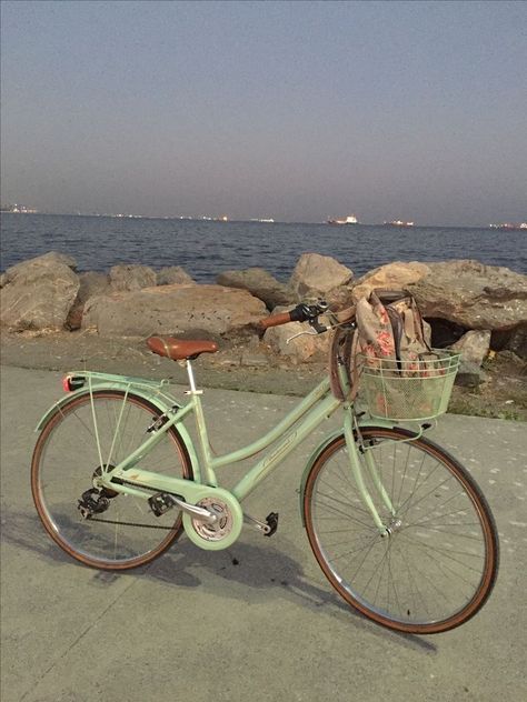 vintage sage green bike Cute Bikes, Biking Aesthetic, Bicycle Aesthetic, Aesthetic Bike, Vintage Sage Green, Green Bicycle, Bike Collection, Bike With Basket, Green Bike