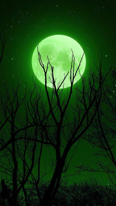 Green Wallpapers, Dark Green Wallpaper, Green Moon, Dark Green Aesthetic, Iphone Wallpaper Images, Wallpaper Green, Neon Aesthetic, Aesthetic Green, Beautiful Landscape Wallpaper