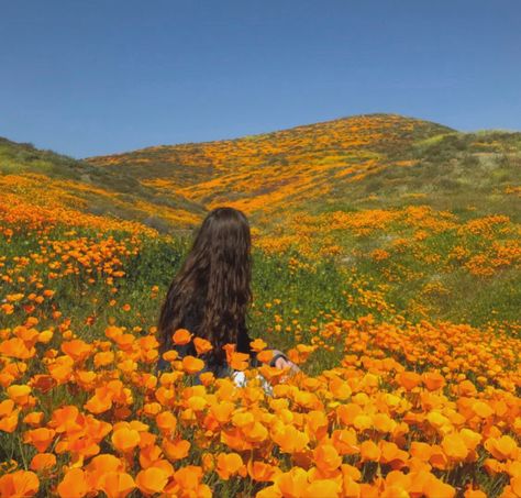 Person In Field Of Flowers, Sitting In A Field Of Flowers, Person Sitting In Flower Field, Standing In A Field Of Flowers, People In Flower Fields, Person Laying In Flower Field, Running In A Field Of Flowers Aesthetic, Running Through Flower Field Aesthetic, Person In Flower Field