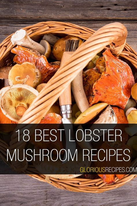 Lobster Mushroom Recipes Lobster Mushroom Recipes, Mushroom Recipes Vegan, Wild Mushroom Recipes, Lobster Mushroom, Best Vegetable Recipes, Mushroom Appetizers, Mushroom Recipes Pasta, Lobster Dishes, Grilled Lobster