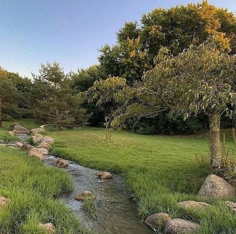 Spring Aesthetic, Nature Aesthetic, Spring Day, Pretty Places, Green Aesthetic, Nature Pictures, Cottage Core, Happy Places, Mother Nature