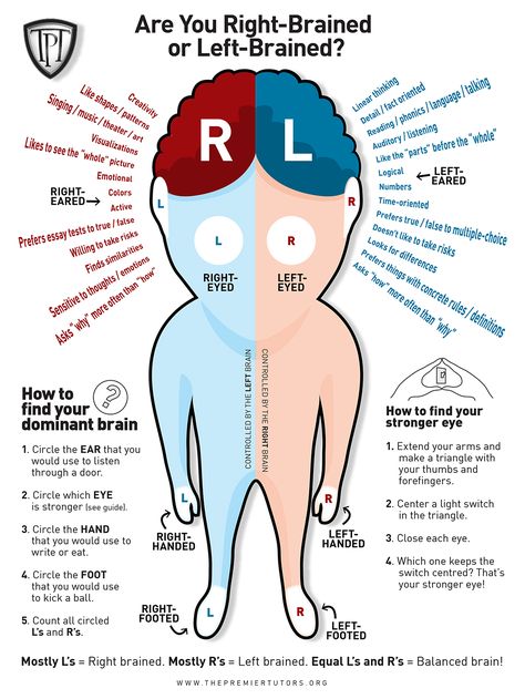 right or left brain 2 Left Vs Right Brain, Brain Anatomy And Function, Brain Diagram, Left Brain Right Brain, Brain Parts, Left Brain, Study Strategies, Brain Learning, Brain Facts