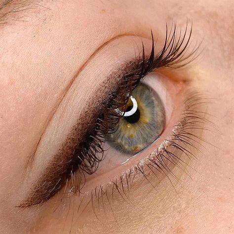 Eyeshadow As Eyeliner, Eyeliner Colors, Eyeliner Brown Eyes, Semi Permanent Eyeliner, Tattoo Eyeliner, Permanent Makeup Eyeliner, Shadow Eyeliner, Permanente Make-up, Permanent Eyeliner