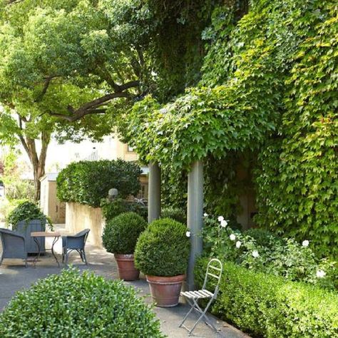 Boxwood Garden, Ivy House, Areas Verdes, Formal Gardens, French Garden, House Beautiful, White Gardens, Gorgeous Gardens, Garden Spaces