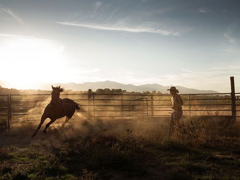 Elsie Silver, Silver Aesthetic, Moodboard Ideas, Cowboy Aesthetic, Urban Cowboy, Into The West, Wild Eyes, Cowboy Horse, Western Life