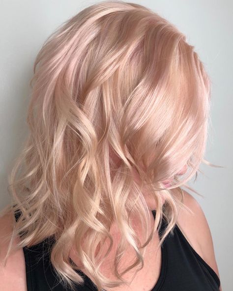 Champagne rose pink blonde hair color by Aveda Artist Haley Pirkle. Pink Grey Hair, Rose Blonde Hair, Gold Blonde Hair, Rose Gold Hair Blonde, Blond Rose, Rose Gold Blonde, Champagne Blonde Hair, Rose Blonde, Kort Bob