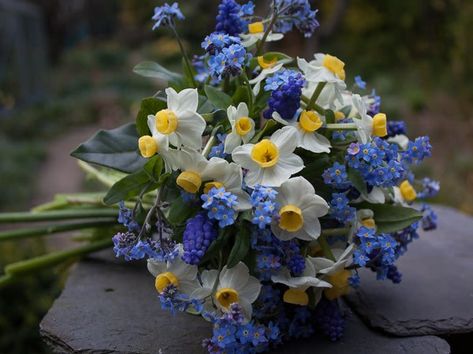 Lovely Spring Hand Tied Wedding Bouquet Comprised Of: White/Yellow Daffodils, Blue Forget-Me-Nots & Green Foliage Daffodil Bouquet Wedding, Forget Me Not Wedding, March Wedding Flowers, Daffodil Wedding, Daffodil Bouquet, Flower Boquet, Yellow Bouquets, Spring Wedding Bouquet, April Flowers