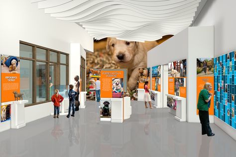 West Office Exhibition Design – The Puppy Center Learning Lab at Guide Dogs for the Blind:  Learn more at woed.com – Exhibit Design | Interactive Design | Experience Design Office Exhibition, Exhibit Design, Lab Dogs, Guide Dog, Experience Design, Interactive Design, Exhibition Design, Animal Shelter, Dog Design