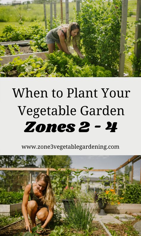 Zone 2 Vegetable Garden, Zone 4b Vegetable Gardening, Zone 4 Vegetable Garden, Alaska Vegetable Garden, Zone 2 Gardening, Zone 3 Vegetable Garden, Zone 3 Gardening Canada, Zone 3 Landscaping, Zone 4 Landscaping