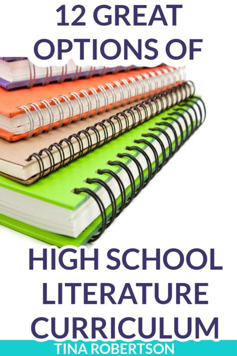 Analyzing Literature, College Track, Homeschool Highschool, Homeschool High School Curriculum, High School Language Arts, High School Literature, High School Teen, Homeschool Middle School, High School Curriculum