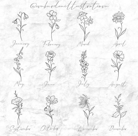 Birth Month Flower Tattoos, Vegas Fits, Aster Tattoo, Minimalist Tattoo Ideas, Animal Tattoo Ideas, Warrior Tattoos, Amazing Tattoos, Character Template, Bff Tattoos