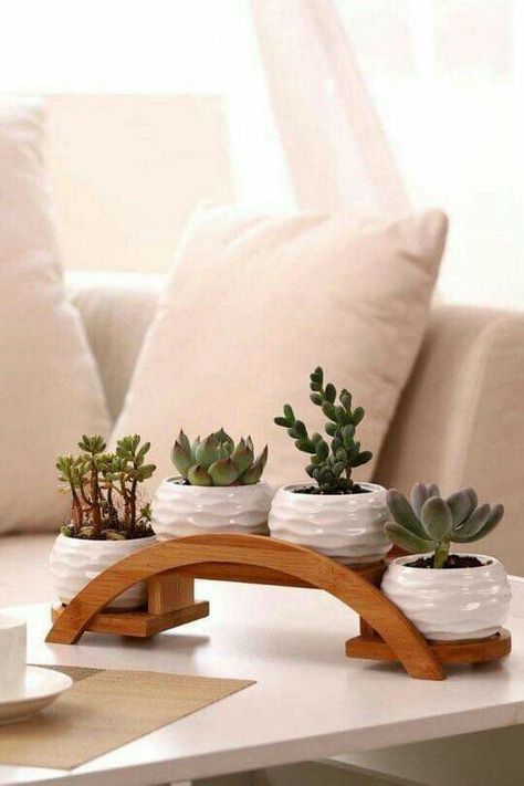 Garden Rack, Cactus Plant Pots, Plant Decor Indoor, House Plants Decor, Plant Shelves, Decoration Inspiration, Succulent Planter, Home Decor Tips, Plant Stand