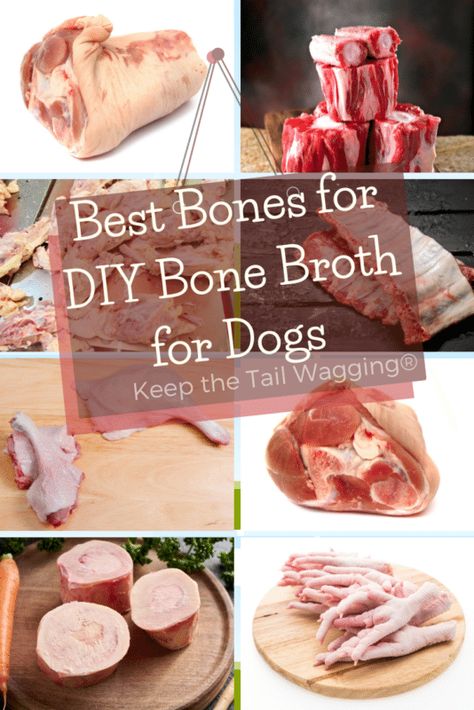 Pet Bone Broth, Beef Bone Broth Recipe For Dogs, Diy Bone Broth For Dogs, Bone Broth Dog Recipe, Homemade Broth For Dogs, Bone Broth Treats For Dogs, How To Make Bone Broth For Dogs, Bone Broth For Dogs Recipes Crockpot, Homemade Bone Broth For Dogs