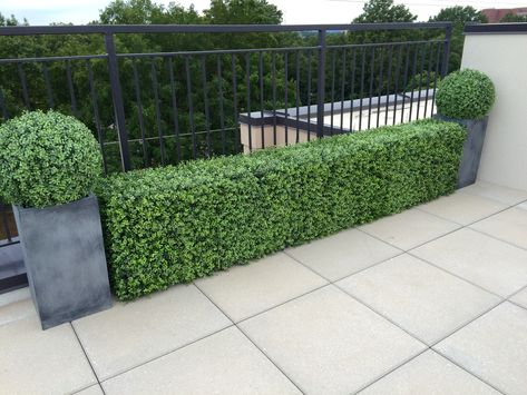 Faux Outdoor Plants, Curb Appeal Landscape, Faux Boxwood, Boxwood Plant, Artificial Hedges, Boxwood Hedge, Back Garden Design, Backyard Remodel, Artificial Boxwood