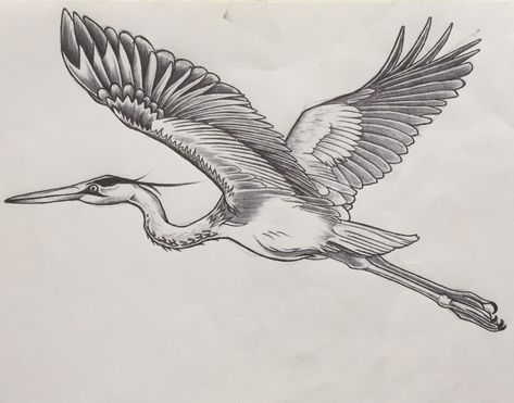 Pelican Drawing, Pelican Tattoo, White Bird Tattoos, Heron Tattoo, Cartoon Tattoo Ideas, Fly Drawing, Animated Shows, Crane Tattoo, Cuff Tattoo