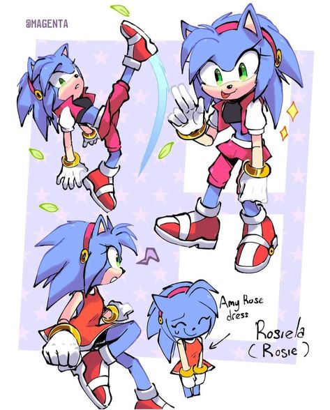 Arte Dachshund, Superhero Stories, Sonic Ocs, Sonic Oc, Hedgehog Movie, Sonic Heroes, Sonic 2, Sonic Friends, Sonic And Amy