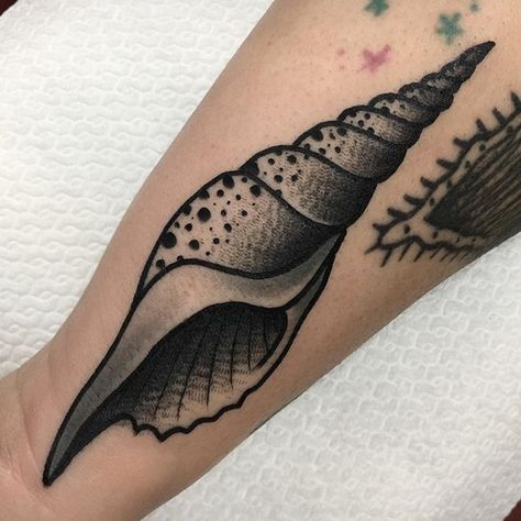 Seashell Tattoo, Shell Tattoo, Lotr Tattoo, Seashell Tattoos, P Tattoo, Belly Tattoos, Occult Tattoo, Fan Tattoo, Old School Tattoo Designs