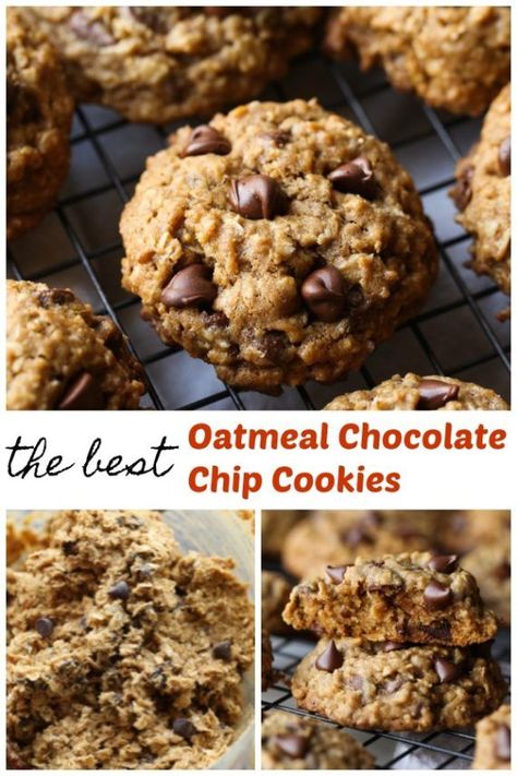 Oatmeal Chocolate Chip Cookies are soft, chewy, and thick oatmeal cookie recipe that is a buttery and delicious and stays soft for days! #cookiesandcups #cookierecipe #cookies #oatmealcookies #chocolatechipcookies Best Oatmeal Chocolate Chip Cookies, Desserts Nutella, The Best Oatmeal, Oatmeal Chocolate Chip Cookie Recipe, Best Oatmeal Cookies, Coconut Chocolate Chip Cookies, Dessert Halloween, Vegan Oatmeal, Oatmeal Cookies Chewy