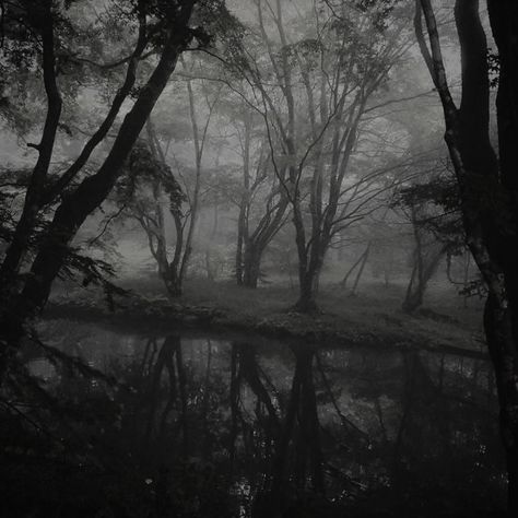 Dark Forest Aesthetic, Dark Fairycore, Forest Aesthetic, Dark Aesthetics, Foggy Forest, Night Forest, Spooky Scary, Dark Places, Fantasy Aesthetic