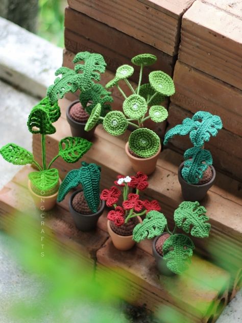 Cute Crochet Plants, How To Crochet A Plant, Crochet Garden Ideas, Crochet Houseplants, Crochet Hanging Plant Pattern, Crochet Houseplant, Crochet House Plants, Plant Crochet, Crochet Plants