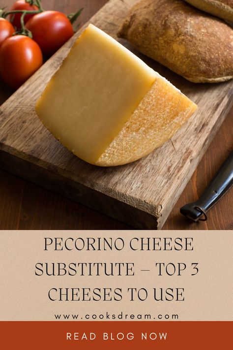 Romano Cheese Recipes, Italian Picnic, Cheese Substitute, Cheese Alternative, Pecorino Romano Cheese, Pecorino Romano, Pecorino Cheese, Food Substitutions, Best Cheese