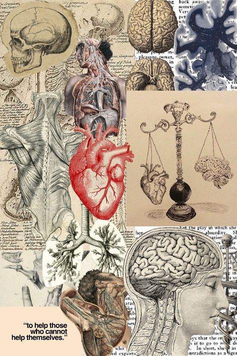 Medicine Moodboard Aesthetic, Health Class Aesthetic, Biology Art Aesthetic, Bioscience Aesthetic, Ipad Wallpaper Medicine, Anatomy And Physiology Cover Page, Genes Aesthetic, Medical Art Wallpaper, Anatomy And Physiology Aesthetic