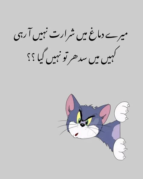 Funny Urdu Jokes, Friend Poetry, Funny Urdu, Urdu Funny Quotes, Art Quotes Funny, Funny Status, Funny Quotes In Urdu, Funny Poetry, Best Friend Thoughts