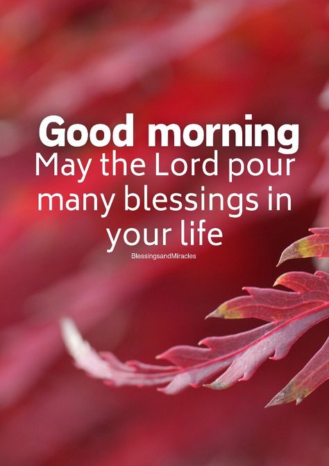 #goodmorning Good Morning Bible Quotes, Morning Bible Quotes, Labor Day Quotes, Happy Good Morning Images, Inspirational Good Morning Messages, Week Quotes, Quotes Morning, Flowers Quotes, Good Morning Spiritual Quotes