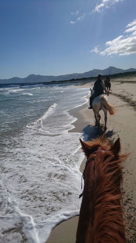 Horse Riding Aesthetic Beach, Calendars Aesthetic, Horse Riding Beach, Summer Horse Riding, Horse Beach Riding, Horse On Beach, Horseback Riding Aesthetic, Horses Beach, Aesthetic Equestrian