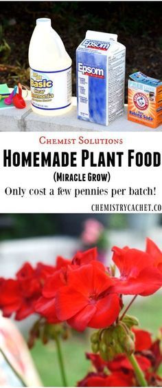 Easy Homemade Plant Food Recipe (Miracle Grow)! This post is part of the chemist solutions series, sharing awesome knowledge for you on chemistrycachet.com Plant Food Diy, Homemade Plant Food, Organic Plant Food, The Chemist, Miracle Grow, Aquaponics System, Fertilizer For Plants, Big Plants, Sprinklers