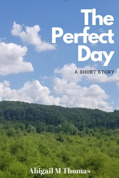 The Perfect Day: A Short Story – Abigail M Thomas Christian Short Stories, Letchworth State Park, Christian Stories, Bible Stories For Kids, God Will Provide, A Short Story, The Perfect Day, Best Answer, Bible Stories