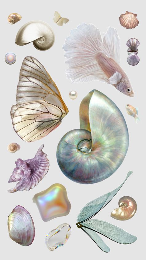 #irredescent #pastel #pastelaesthetic #pisces #sea #seashells #beachgirl #ocean #oceanaesthetic Mermaid Sticker, Scrapbook Printing, Seashell Painting, Iphone Design, Seashell Art, Inspirational Wallpapers, Creative Tattoos, New Wallpaper, Pastel Aesthetic