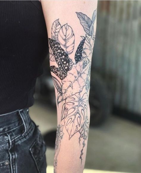 Full Arm Plant Tattoo, Jungle Foliage Tattoo, Realism Plant Tattoo, Plant Tattoos Black And White, Ornamental Plant Tattoo, House Plant Sleeve Tattoo, Plant Tattoo Ideas Sleeve, Houseplant Sleeve Tattoo, Alocasia Plant Tattoo