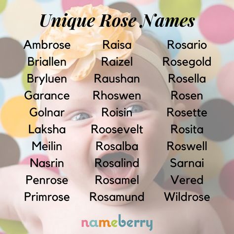 Primrose Name, Names That Mean Rose, Rose Name Meaning, Roses Names, Classic Girls Names, Story Guide, Brandy Girl, Twin Names, Uncommon Baby Names