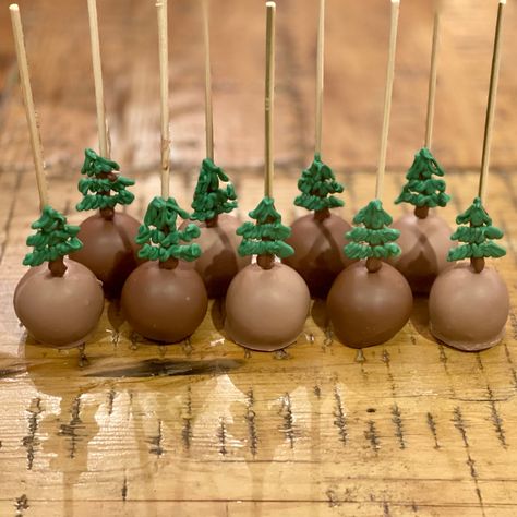 Forest Theme Cake Pops, Forest Cake Pops, Tree Cake Pops, Mountain Theme Desserts, Woodland Cakepops, One Happy Camper Cake Pops, Woodland Theme Cake Pops, Camping Cake Pops, Smores Cake Pops