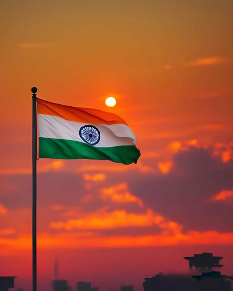 Flag Day India, Indian Flag Pic, Army Lover, Irish Independence, Independent Movies, Indian Flag Images, American Flag Decor, Independence Day Flag, Independence Day India