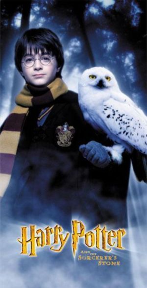 Harry Potter And The Sorcerer's Stone Harry & Hedwig Poster Harry Potter And Hedwig, Beautiful Owls, Harry Potter Owl, Daniel Radcliffe Harry Potter, Philosophers Stone, Yer A Wizard Harry, Theme Harry Potter, Images Harry Potter, The Sorcerer's Stone