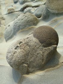 Lake Michigan Stones, Rock Identification, Rocks And Fossils, Bad Girl Quotes, Geology Rocks, Rock And Pebbles, Sedimentary Rocks, Cool Rocks, Latin Words